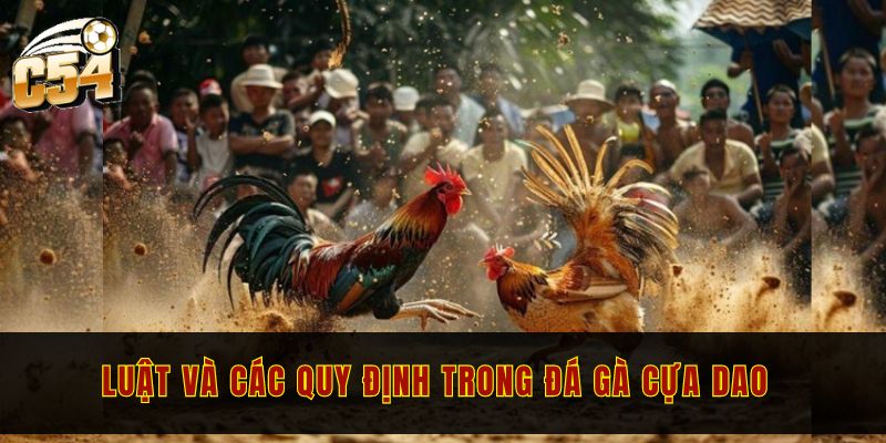 Luật và các quy định trong đá gà cựa dao